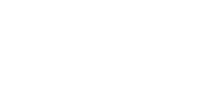 Scale with Data