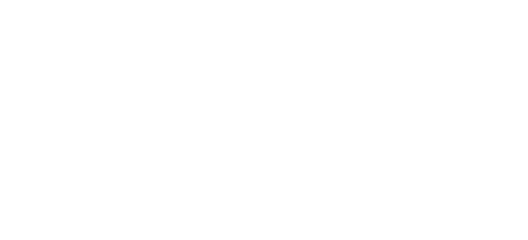 Bespoke tax plans
